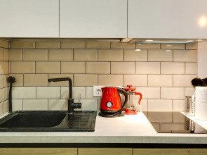 Апартаменты Двухуровневый лофт на Красносельской