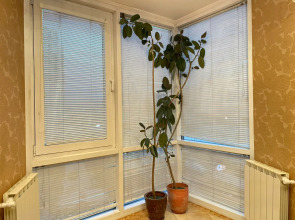 апартаменты великолепные в минуте от метро Беговая