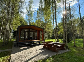 V Sosnovom Boru Private House