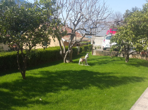 Bucin Apartments