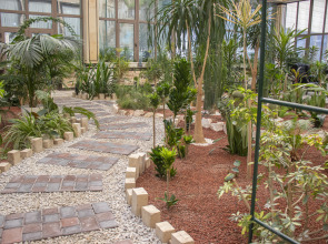 Отель Garden Plaza Bukhara