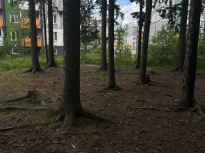 Апартаменты на Софьи Ковалевской 14a