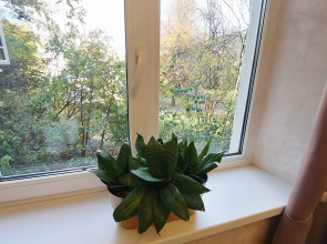 Квартира Новая уютная в самом центре города