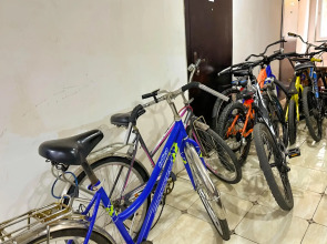 Апартаменты Альфагид