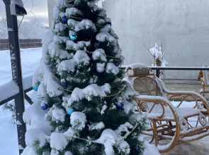 Гостевой Дом Кипарис