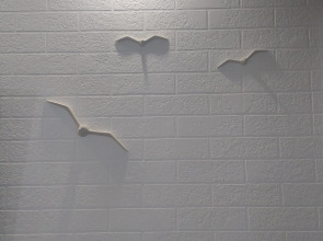 Апартаменты на берегу Балтийского моря