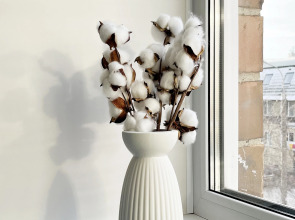 Апартаменты Династия