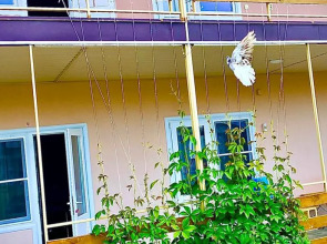 Гостевой дом Уфимочка