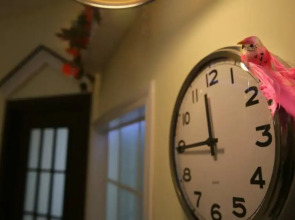 Апартаменты SAMOцвет 12 на Киевской 3