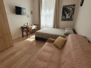 Квартира - студия в иcтoричeскoм цeнтре Санкт-Пeтеpбургa (4)