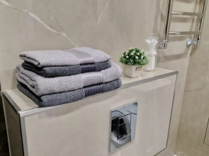 Квартира Тургенева 25/1