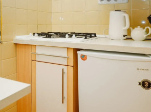 Апартаменты Pavel&Olga Wonderful Двухъярусные в самом центре Пскова