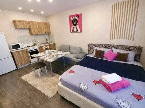 Studia Ryadom S Aeroportom Flat