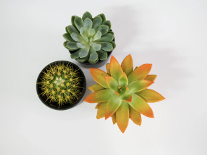 Капсульный Отель Атмосфера