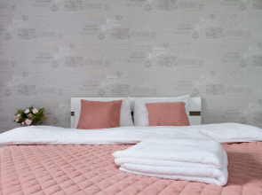 Квартира Красный Проспект 222 Северная