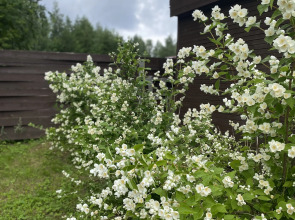 Частный Дом Гостевой Дом в Поселке Нижняя Салма Карелия