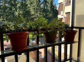 Гостевой дом АидаИда