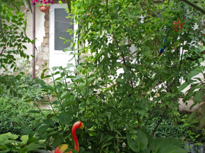 Гостевой Дом Вишневских