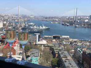 Апартаменты Central Vladivostok 2-х Комнатные Апартаменты с Балконом