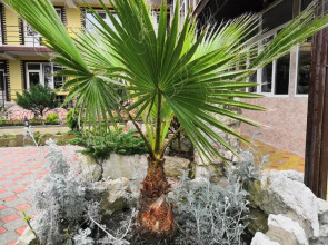 Гостевой дом Тихая гавань