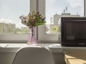 Апартаменты Горького 162