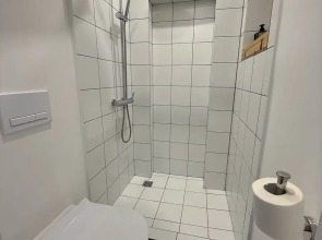 Меблированные комнаты Зубовском (1)