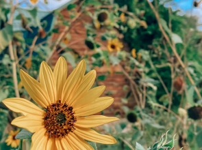 База отдыха Замок