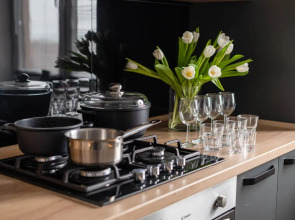 Апартаменты Люкс Двухкомнатный Park House 2