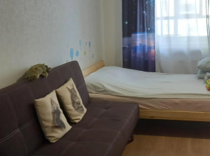 Апартаменты Троицкие