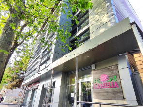 Отель Камелия