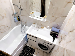 Апартаменты с видом на Неву в центре города