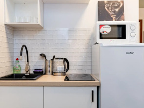 Апартаменты Жуковского 1/2/10с2 (303)