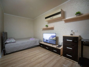 Na Ulitse Nikolaeva 14A Flat