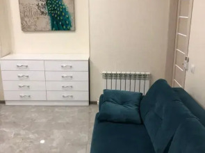 Апартаменты Central Vladivostok Апартаменты с Террасой