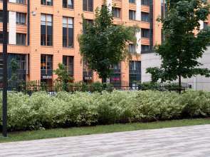 Квартира Apartment Comfort Притяжение