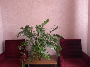 Меблированные комнаты Мещерино