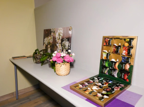 Гостевой дом Шале Тюленя