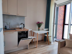 Апартаменты Бобродом в самом центре Новосибирска