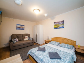 Апартаменты Докучаев переулок 2 (0361)