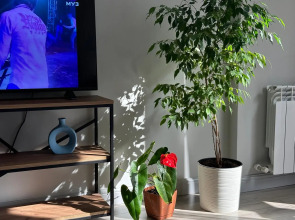 Апартаменты Квартира у моря