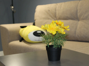 Апартаменты Папай и Оливия