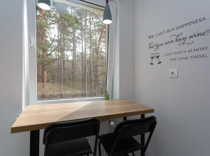 Апартаменты Silent Lake Studio