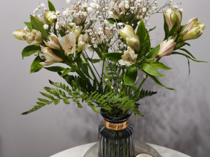 Апартаменты Еsenia Home - White Horce
