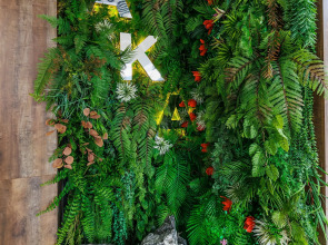 Отель Ака Парк Отель