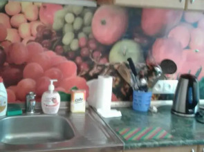 Апартаменты на Тарана 21