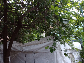 Nature trail camps & homestay Camping