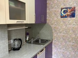 Апартаменты ДзенХоум Радушие 132