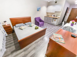 Uyutnaya Kvartira Vozle Sheremetyevo Apartments