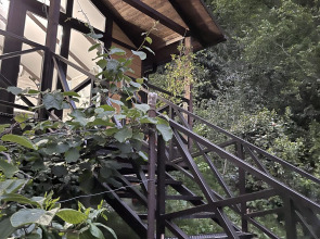 Шале ШалеSoVa