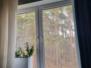 Квартира Уютный уголок около лесного озера